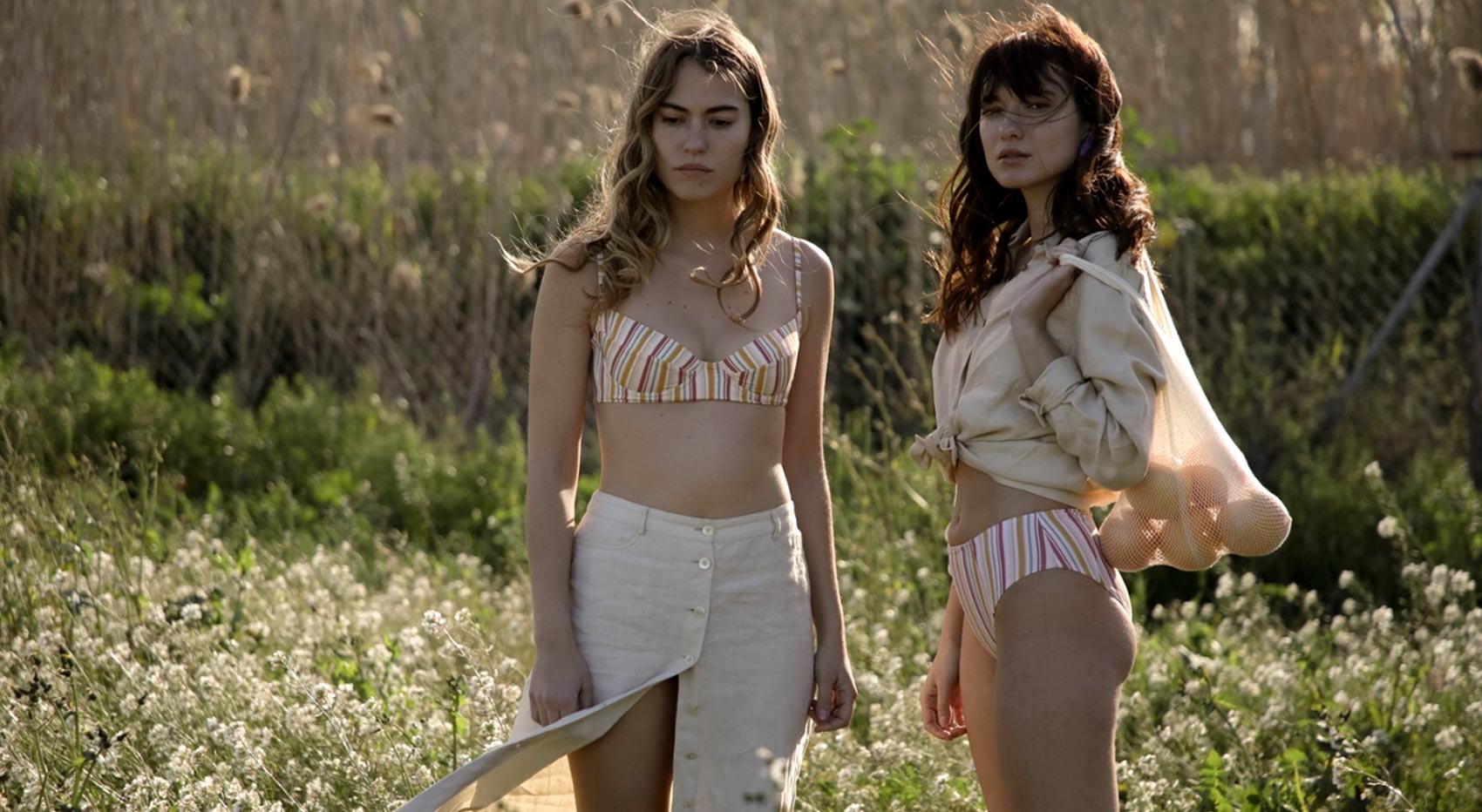 Cyl-Moda-Intima