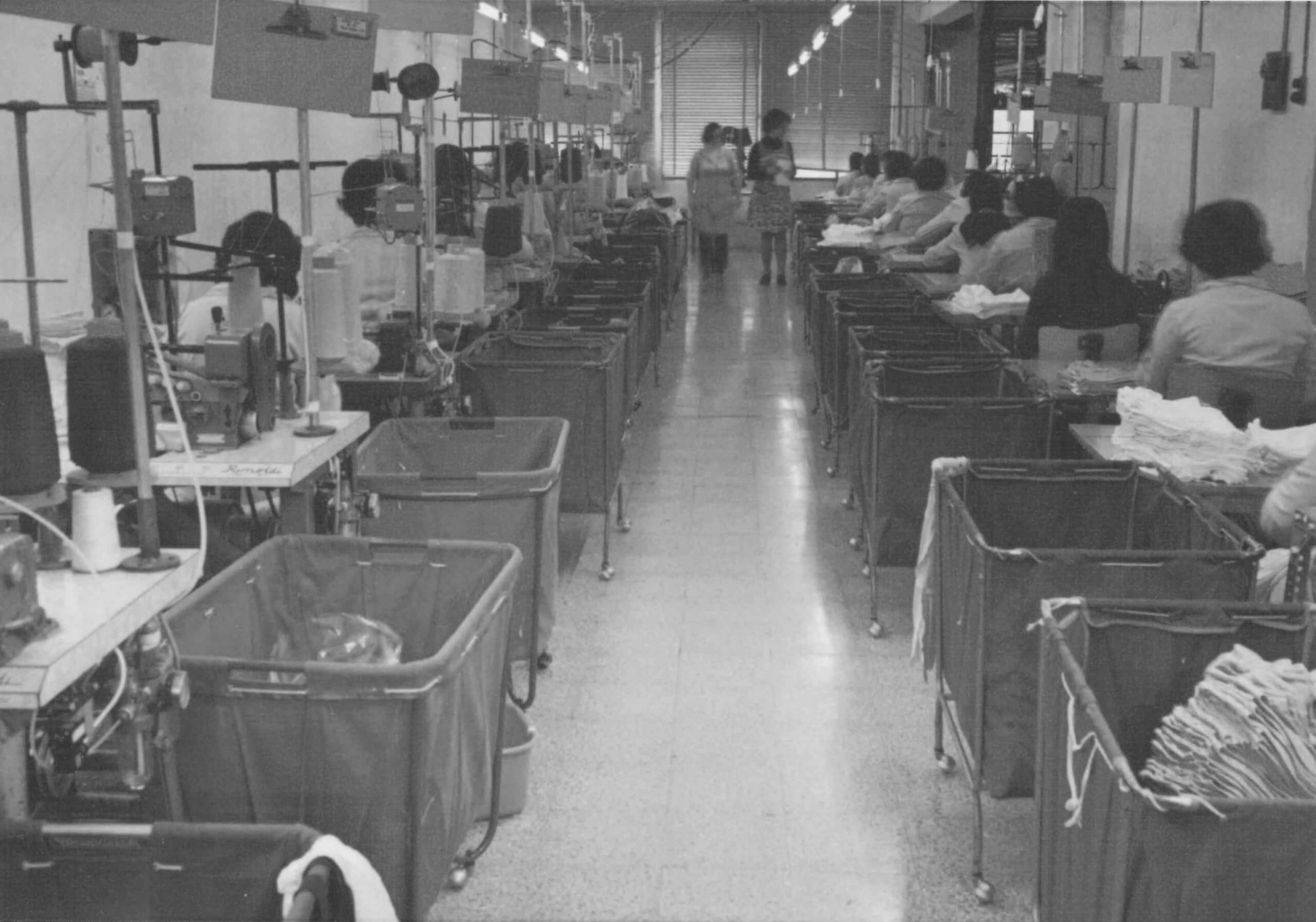 Zd Zero Defects Historia 1